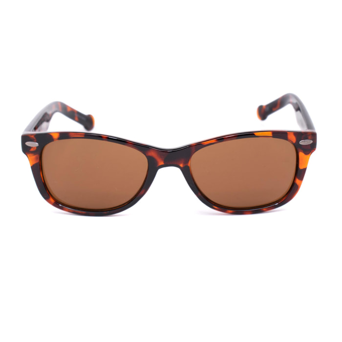 Gafas de sol Converse Hombre SCO09152TORT