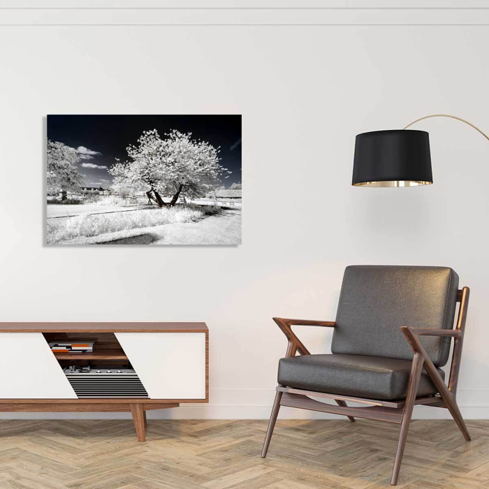 Tableau paris jardin blanc comme neige  Toile imprimée