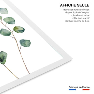 Affiche nature aquarelle feuille d' eucalyptus Affiche seule