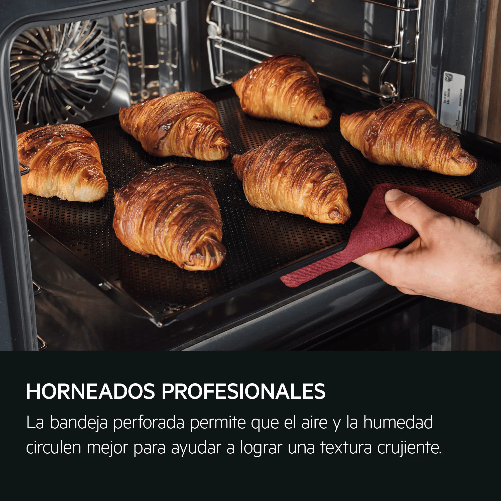 AEG Horno de vapor Serie 9000 ProAssist con SteamPro con Display CookSmart Touch+ 7,8 '', con WiFi TP9SB831AB