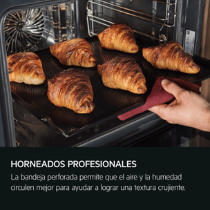 AEG Horno de vapor Serie 9000 ProAssist con SteamPro con Display CookSmart Touch+ 7,8 '', con WiFi TP9SB831AB