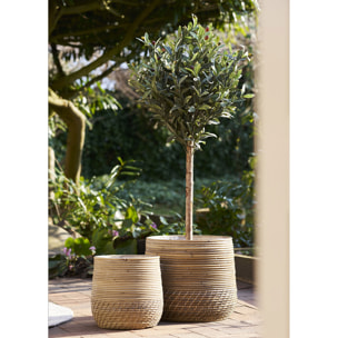 Ulivo artificiale verde H 120 cm
