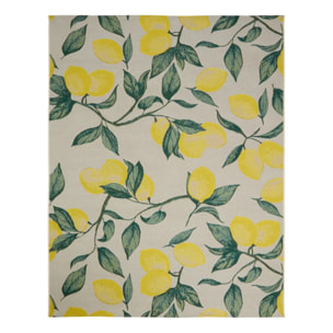 Tapis d'extérieur Kepa 150x100cm