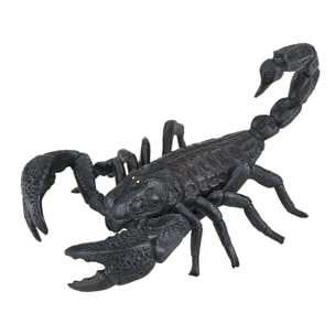 Ragni e Rettili/Scorpione