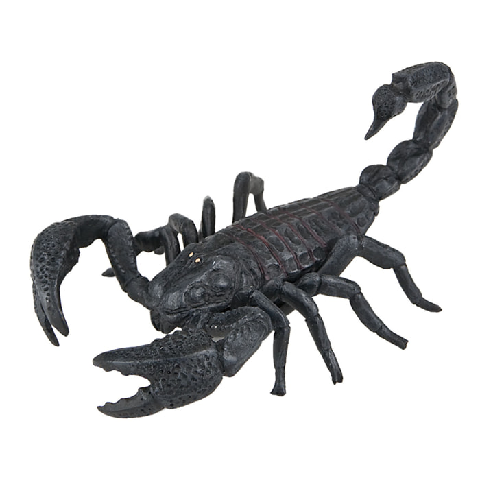 Ragni e Rettili/Scorpione