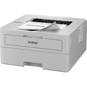 Imprimante laser BROTHER HL-L2865DW