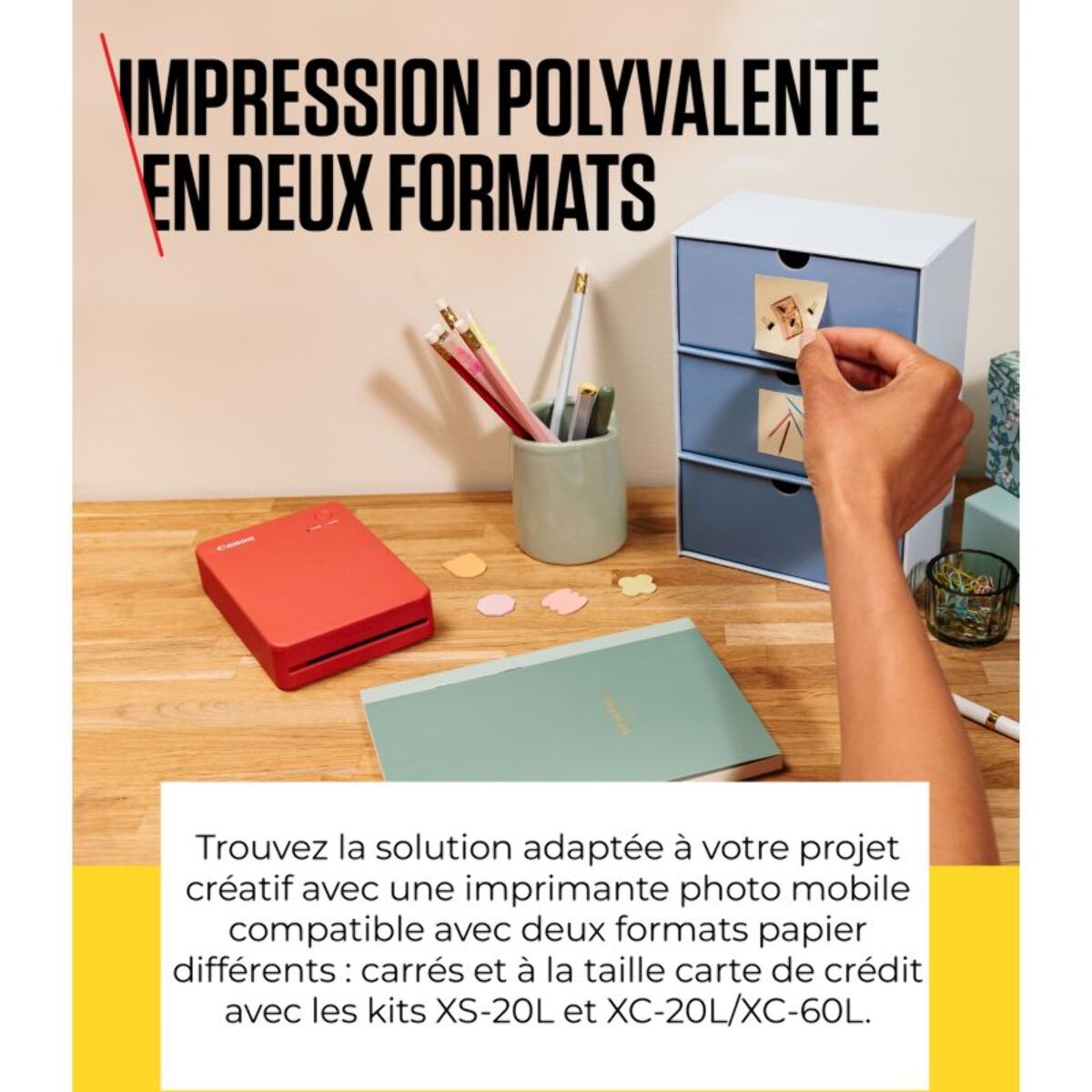 Imprimante photo portable CANON SELPHY QX20 Edition Zootopie 2