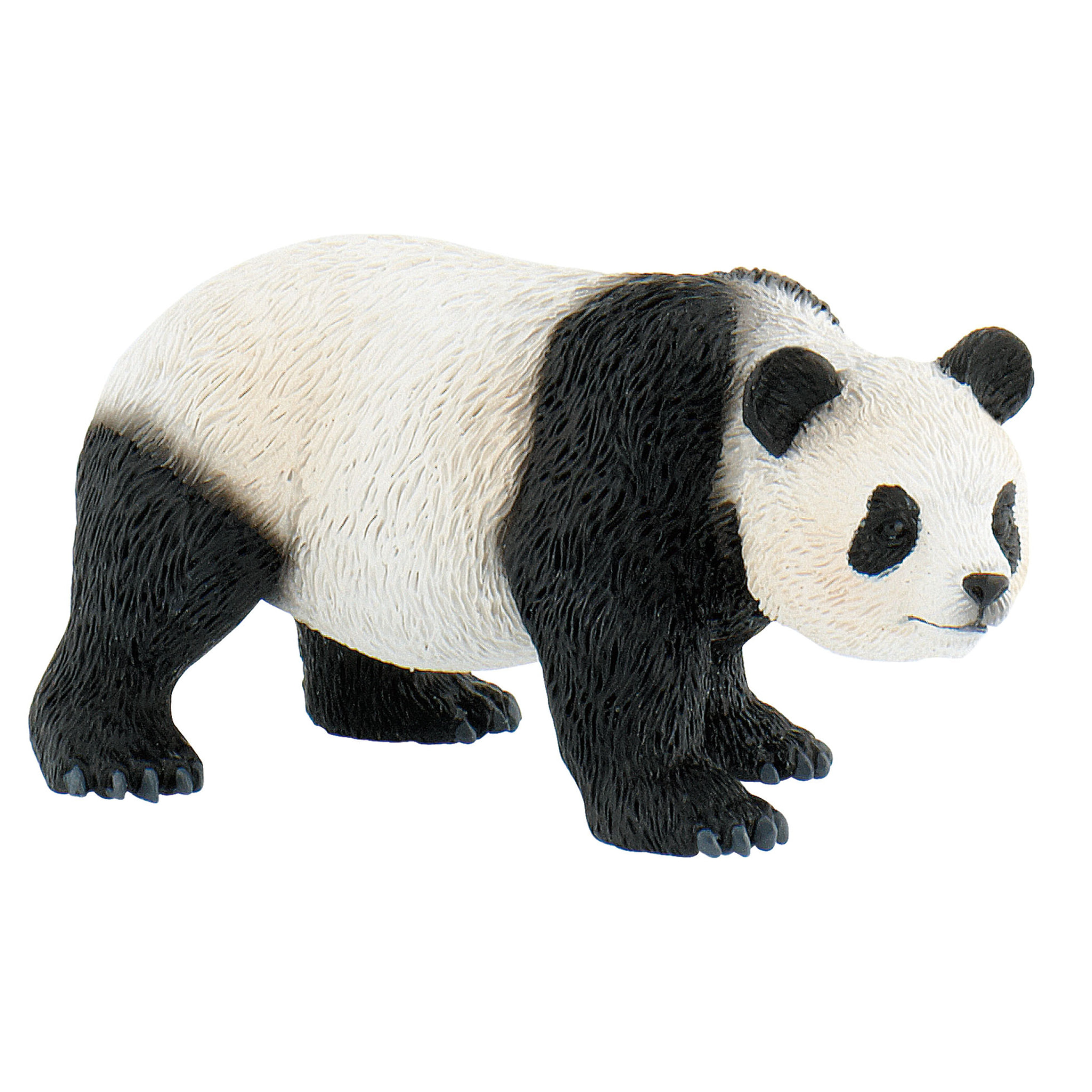 Safari/Panda