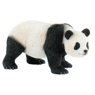 Safari/Panda