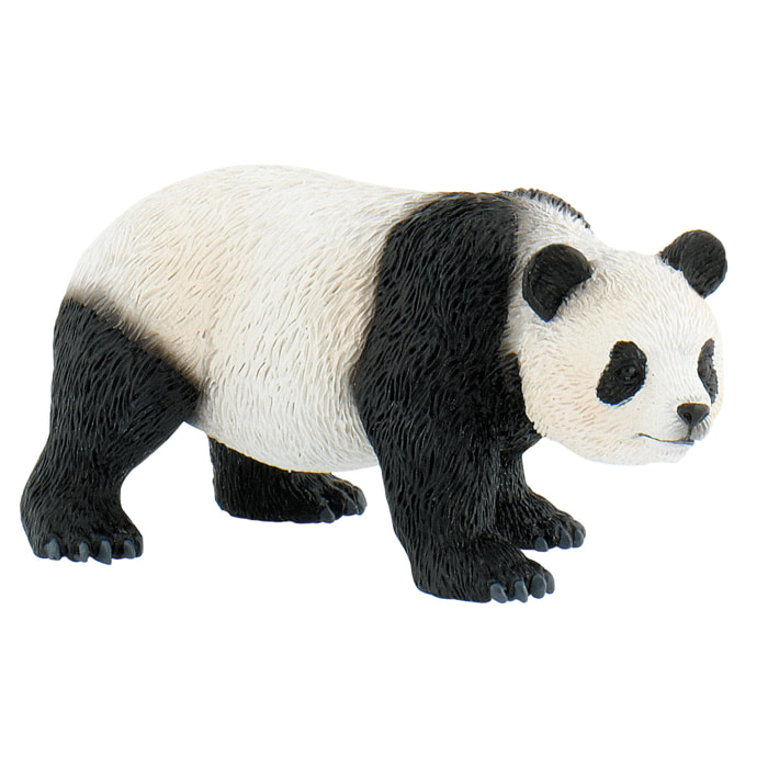 Safari/Panda