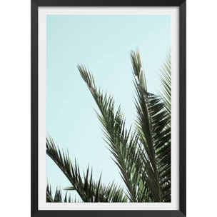 Poster palme bleue Affiche + cadre en bois - Noir