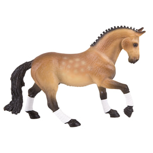 Cavalli/Prussiano Orientale - Trakehner