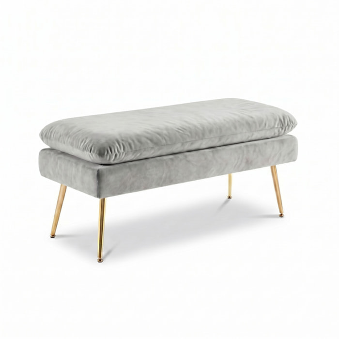 Panca Contenitore Imbottita in Effetto Velluto con Ampio Vano Portaoggetti, Seduta Confortevole e Gambe in Acciaio, Design Moderno per Camera da Letto, Ingresso e Soggiorno