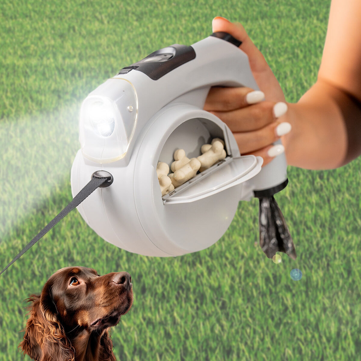 Pack Guanto per Pettinare e Massaggiare Animali Domestici e Guinzaglio Retrattile per Cani 6 in 1 InnovaGoods