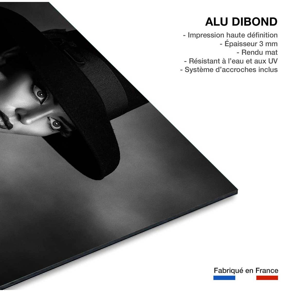 Tableau noir et blanc L'élégance Tableau alu Dibond