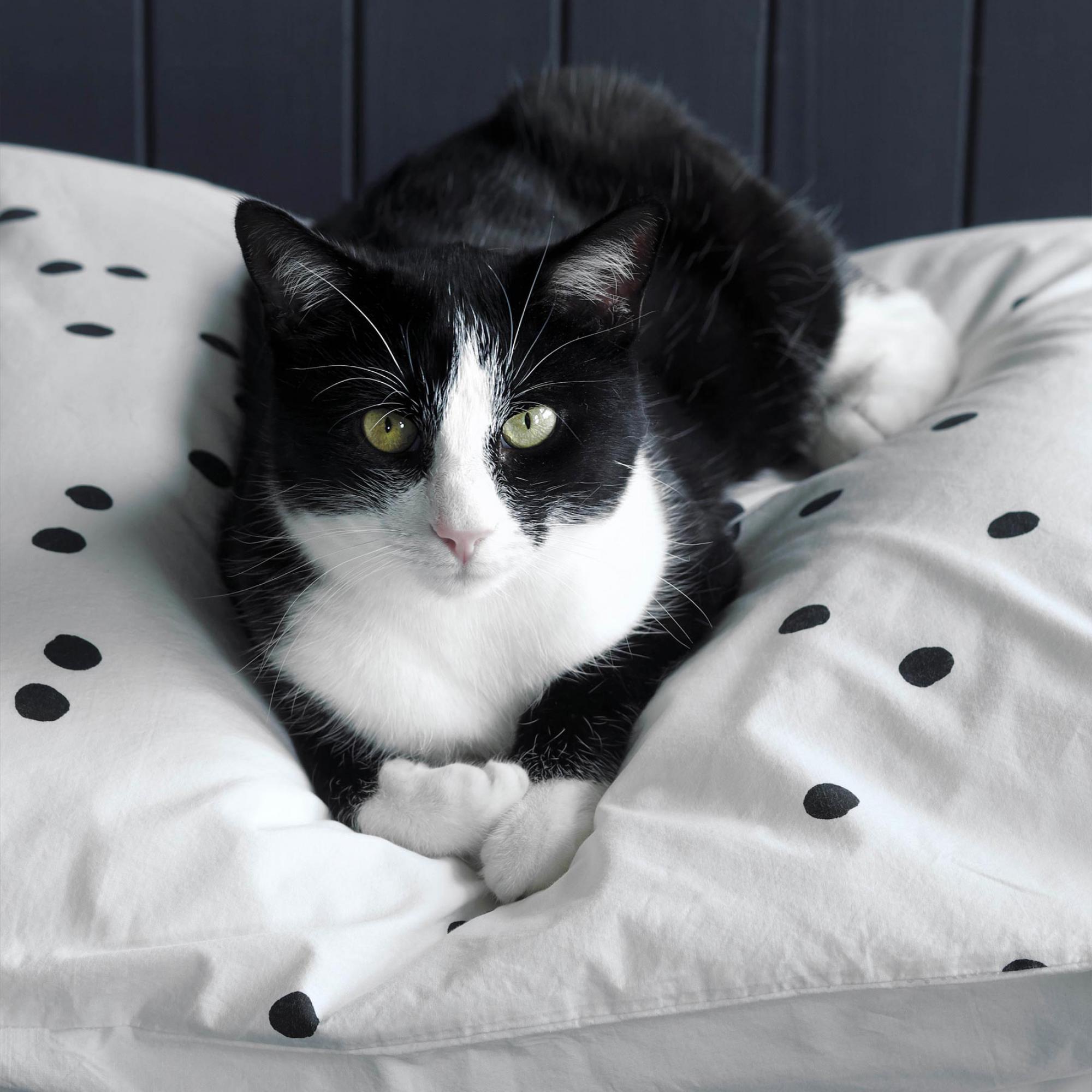 Taie d'oreiller Odette