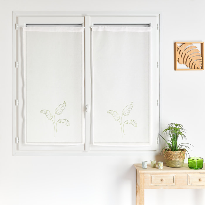 Paire voilages motif feuilles bananes - Vert