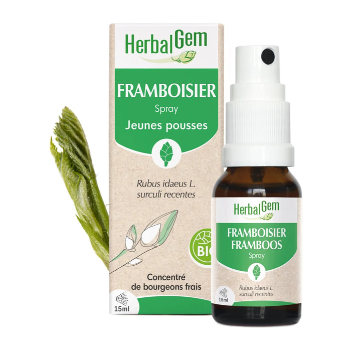 Herbalgem- Bourgeon de framboisier - Spray - Bio - 15 ml