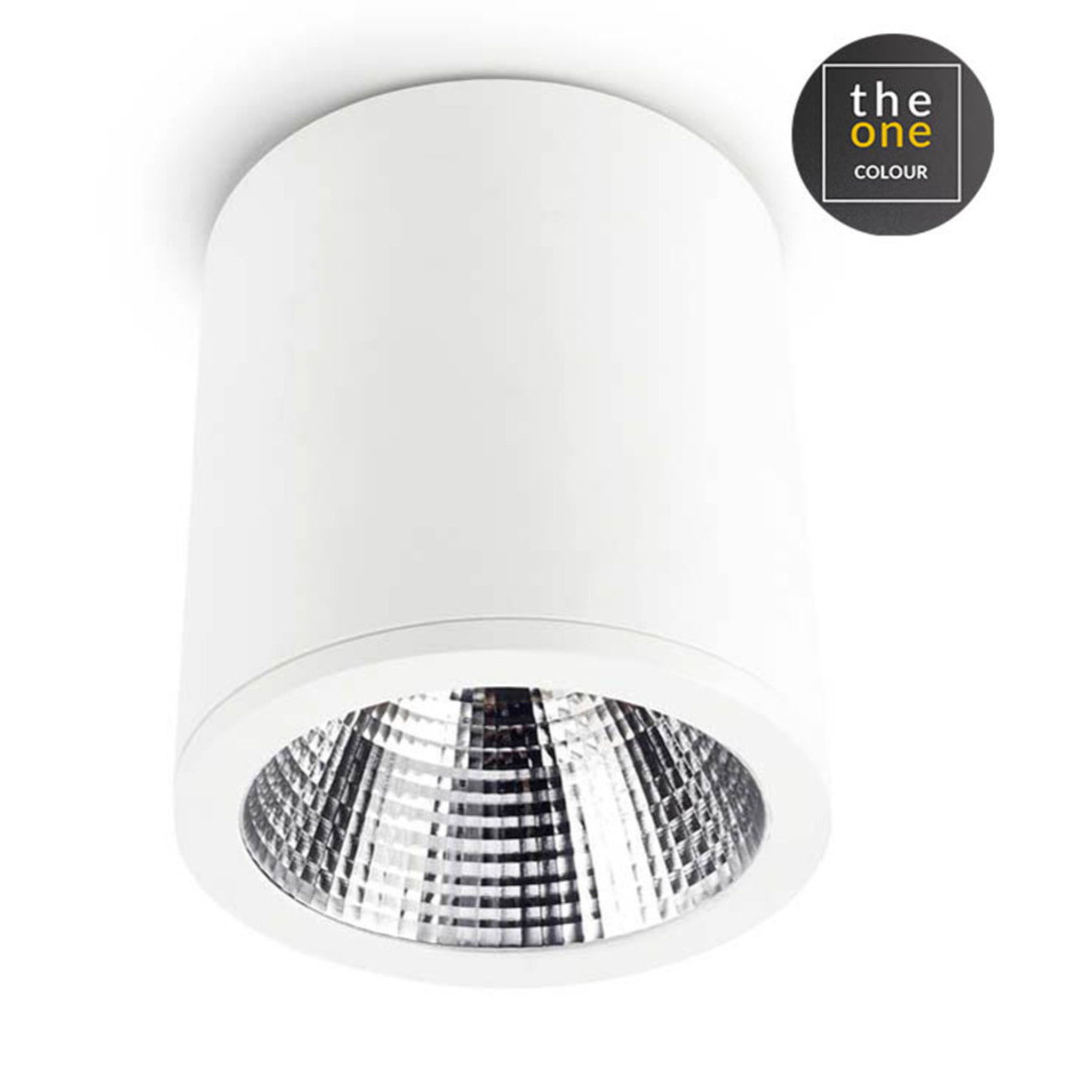 LEDS C4 Plafon Exit 25.9W 3000K Cri 90 Blanco Ip23 1728Lm