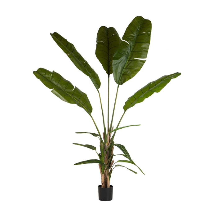 Planta Artificial Palma Del Viajero Con Maceta 90x90x250 Cm