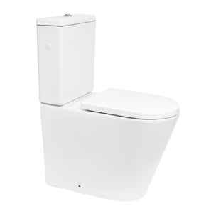Brevis cuvette WC PMR à poser SEULE sans bride en céramique (réservoir non fourni), blanc (SATBRE32M)