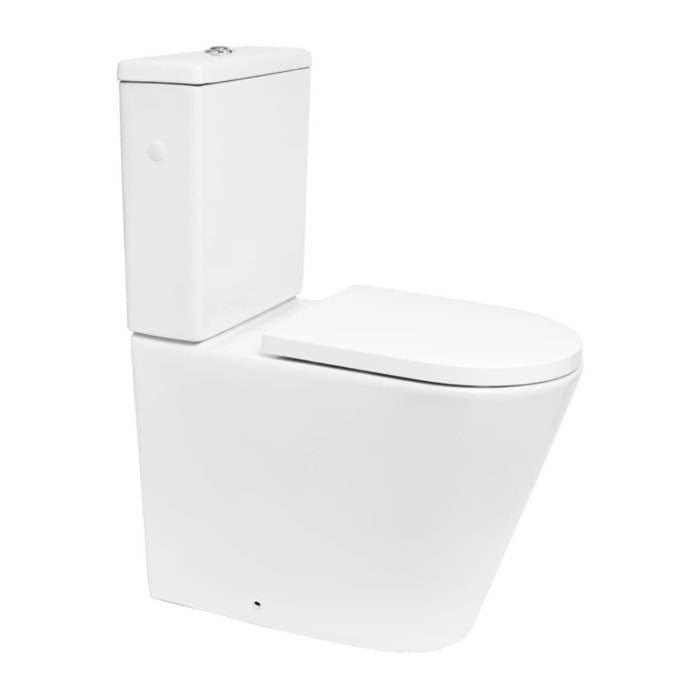Brevis cuvette WC PMR à poser SEULE sans bride en céramique (réservoir non fourni), blanc (SATBRE32M)