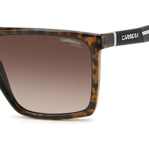 Gafas de Sol Carrera CA8061/CS 4NZ Polarizadas de Tr90 Hombre 55 mm