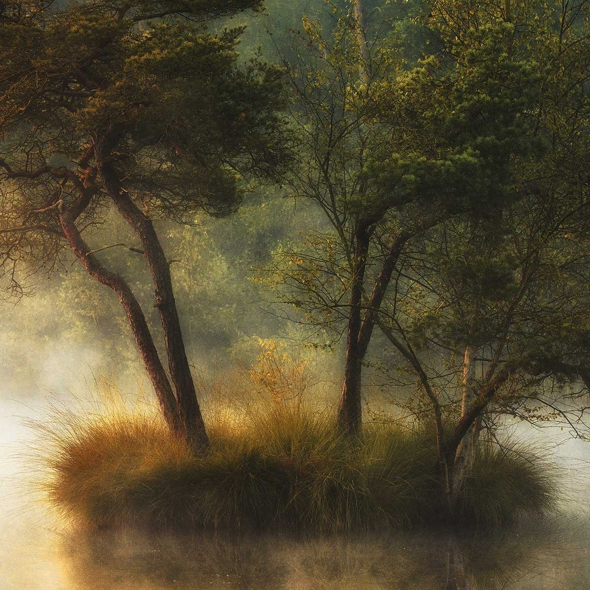 Affiche Ilôt et lac en automne Affiche + cadre en bois - Noir