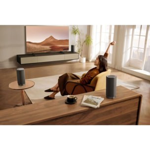 Enceinte TV TCL Home Cinema Z100