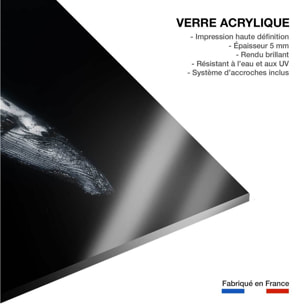 Tableau baleine baleine noire  Tableau plexiglas