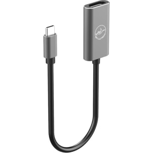 Adaptateur USB-C/HDMI MOBILITY LAB USB-C - HDMI 30HRZ GS