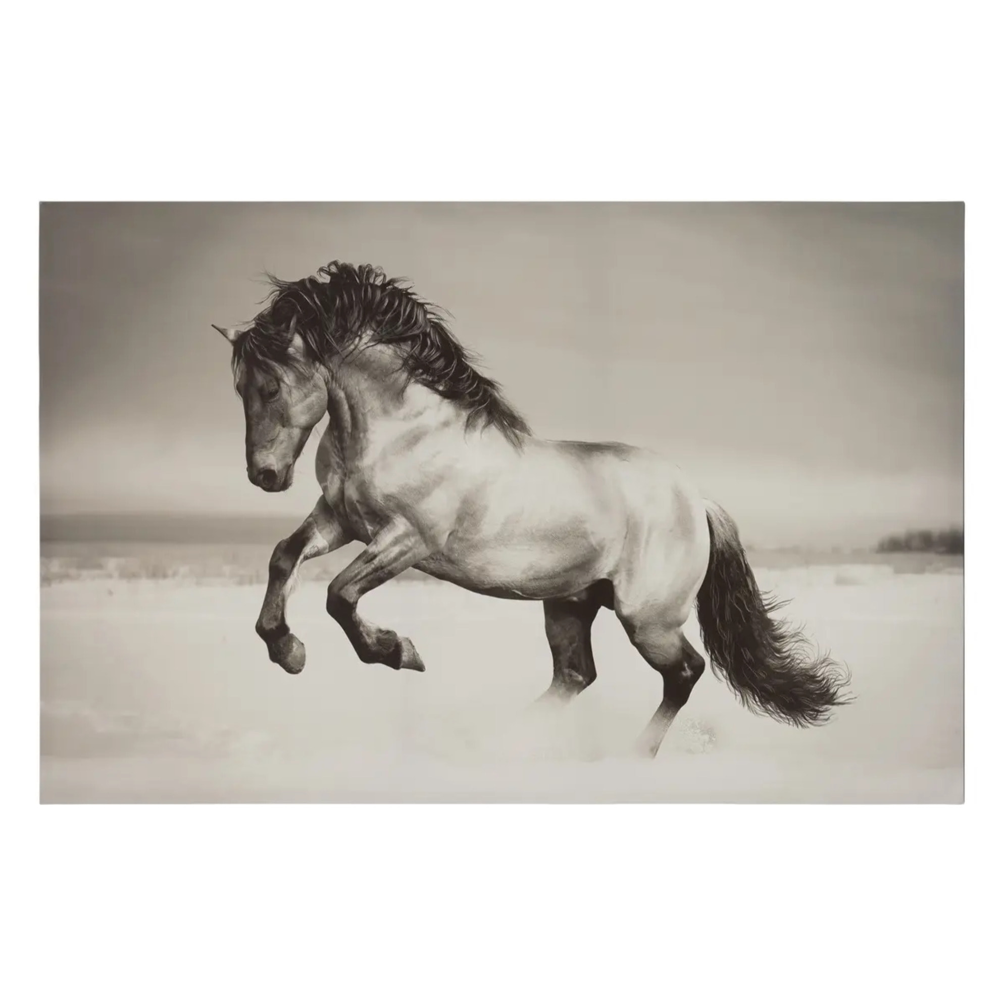 Toile encadrée "Animaux" 75x115cm