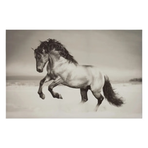 Toile encadrée "Animaux" 75x115cm