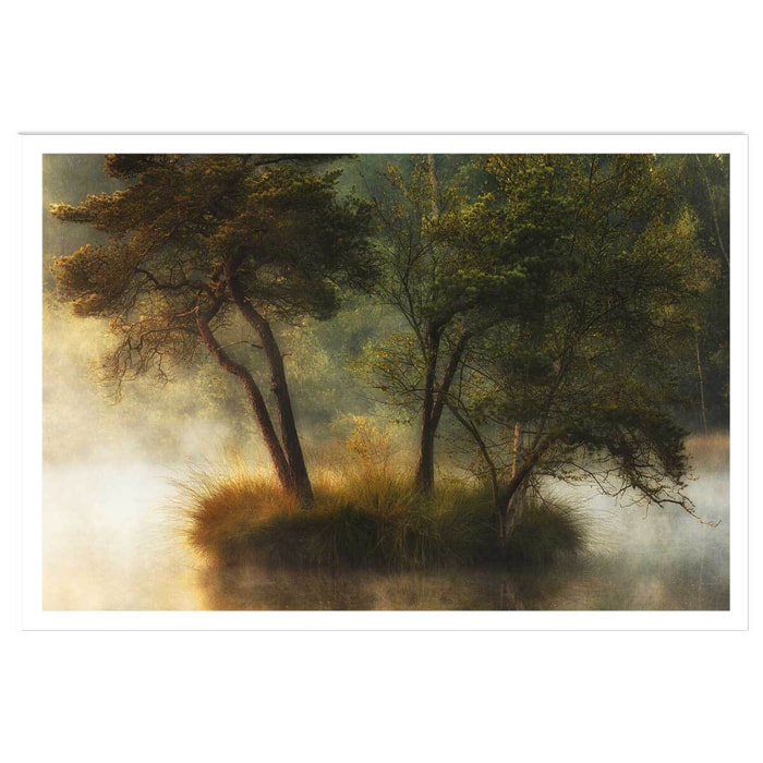 Affiche Ilôt et lac en automne Affiche seule