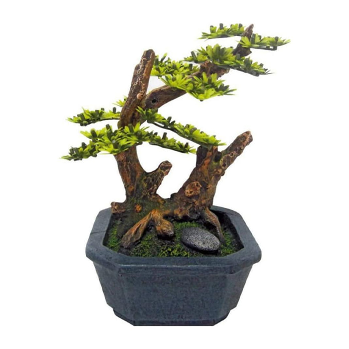 Bonsai per acquario con vaso - Japan - Amtra