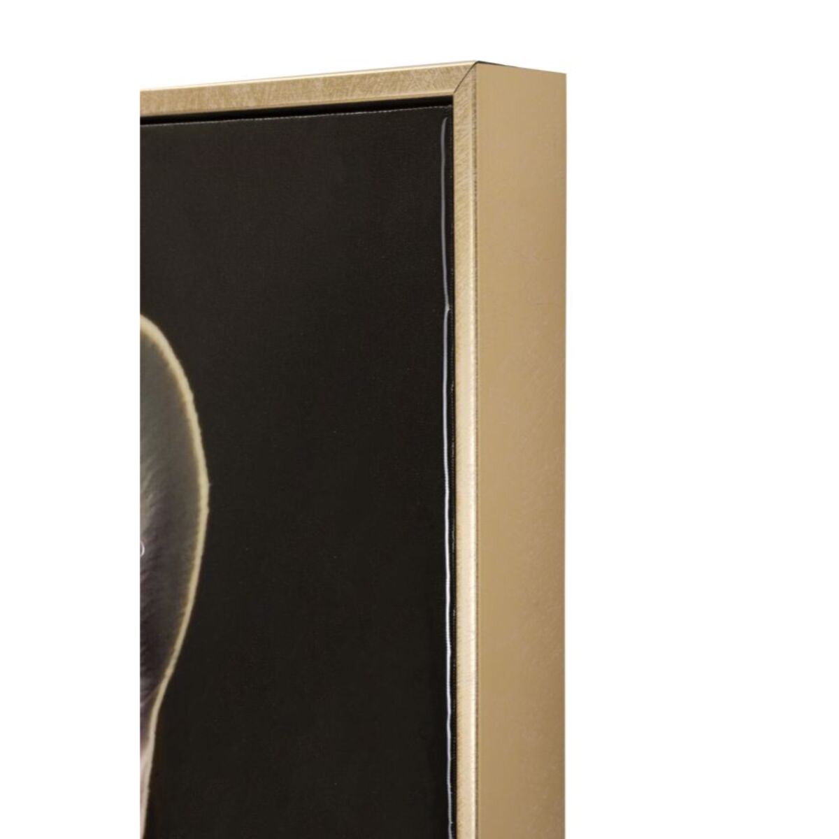 DIPINTO SU TELA LACCATO BULLY C/CORNICE CM 62X4X82