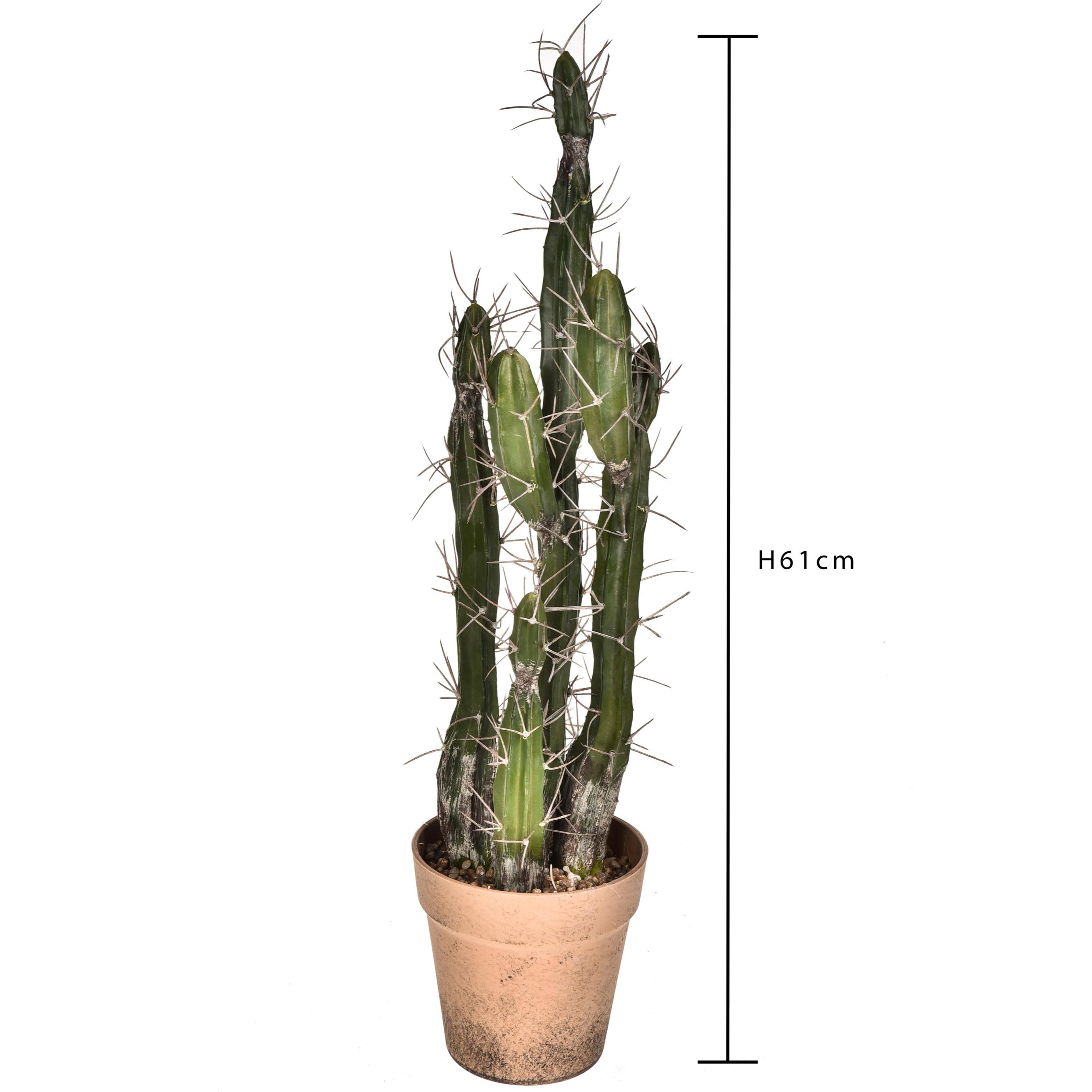 Cactus Con Vaso. Altezza 61 Cm - Pezzi 1 - 25X61X25cm - Colore: Verde - Bianchi Dino - Piante Artificiali