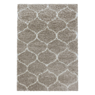 SALSA - Tapis shaggy à poils long berbère beige - SAL3201BEI