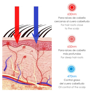 Cappello massaggiante con trattamento per capelli tramite luce LED. Migliora la circolazione, aiuta a rinforzare e anti-caduta.