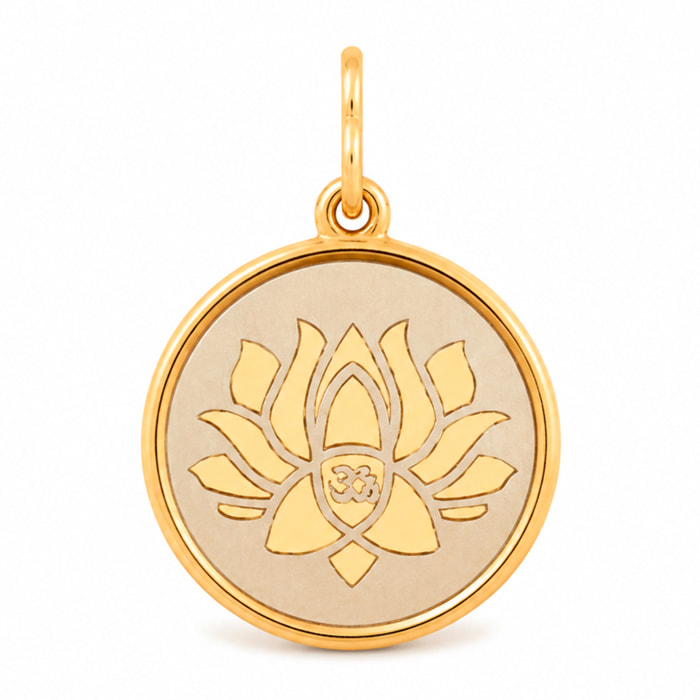 Charm Alex And Ani Mujer CS15C21