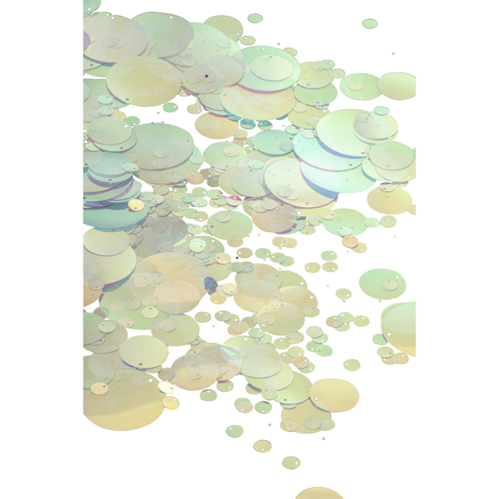 J-Line paquet de sequins holographiques - PET - transparent