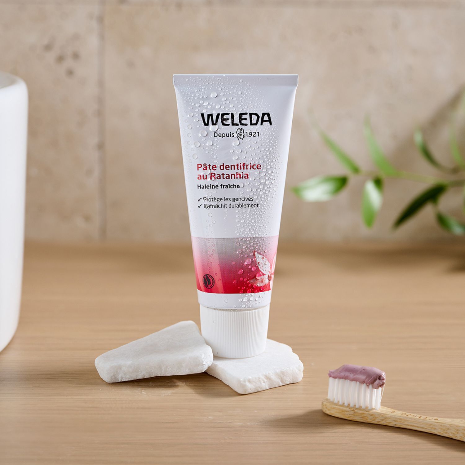 WELEDA - Trio Pâte dentifrice au Ratanhia - Protège et renforce les gencives - Vegan* - Certifié Natrue** -Tube 75 ml  x 3