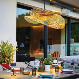 Suspension secteur SOLARA D80CM 5M