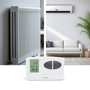 Thermostat programmable filaire pour chauffage ou climatisation - Avidsen - 103954