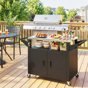 Desserte jardin chariot plancha 2 portes étagère métal noir acier inox