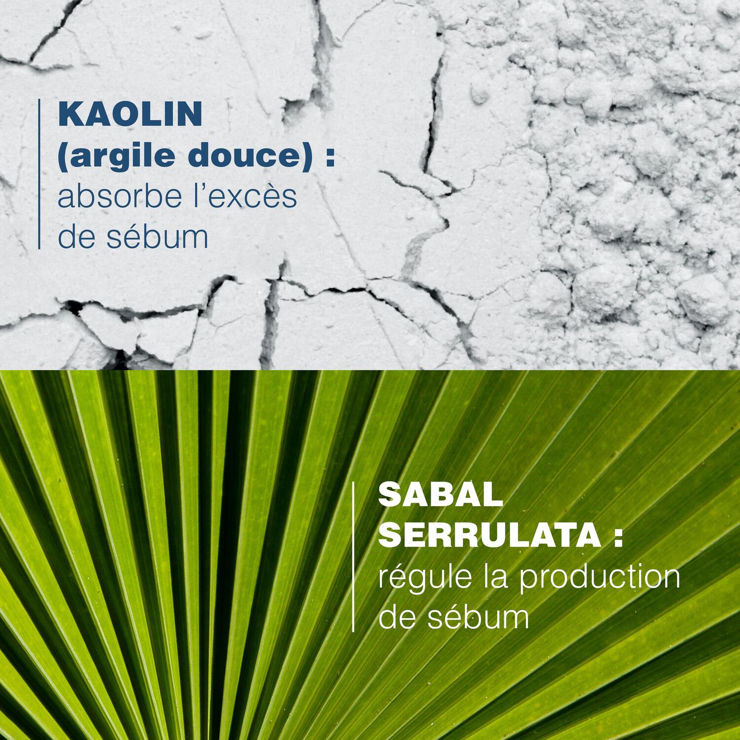 Sabal - Shampooing quotidien sébo-absorbant
