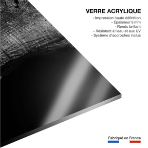 Tableau animaux elephant loxodonta africana Tableau plexiglas