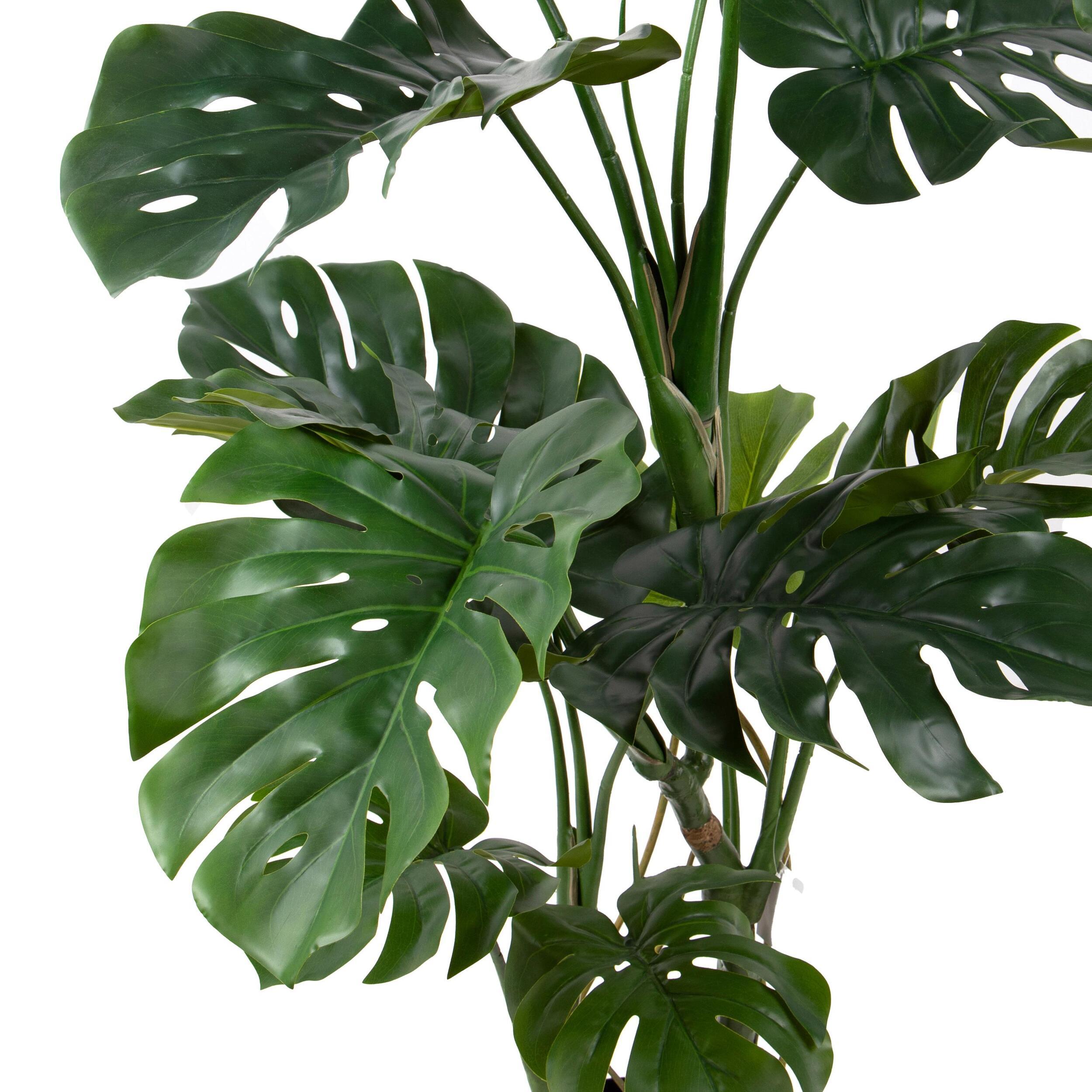 Monstera real touch - Pezzi 1 - Colore: Verde - Bianchi Dino