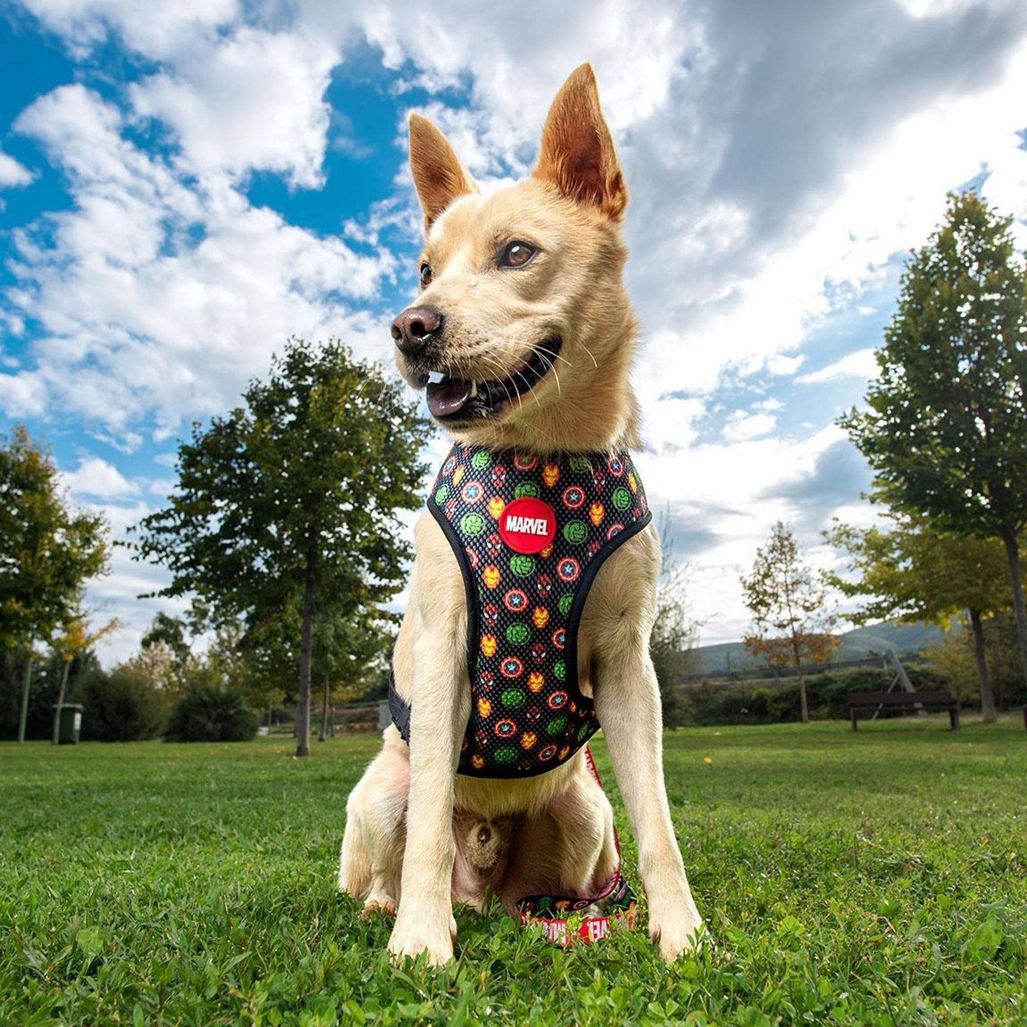 Arnés Para Perros Marvel