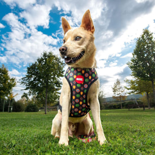 Arnés Para Perros Marvel